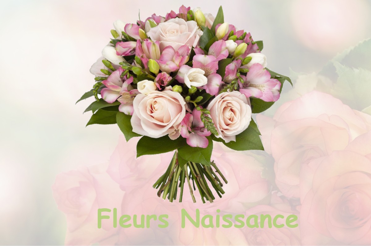 fleurs naissance BOIS-D-ENNEBOURG